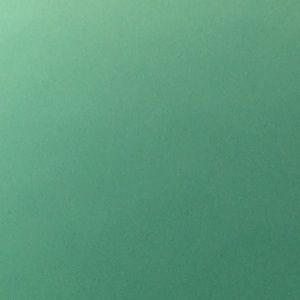 Meet your Posher, Ava